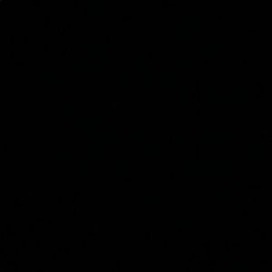 Meet your Posher, Zoni